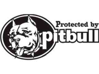  Pitbull Protect Decal Proportional
