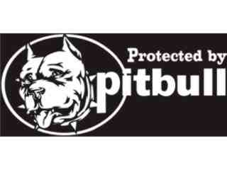  Pitbull Protect_ I N V Decal Proportional
