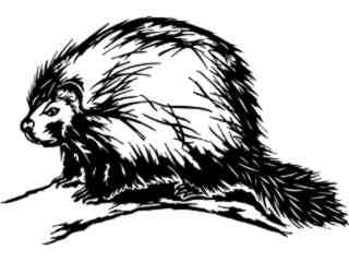  Porcupine_ 1 3 8_ V A 1 Decal Proportional