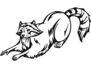  Racoon Animal Wild_ 0 4 9a Decal Proportional