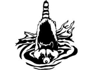  Racoon_ 1 4 6_ V A 1 Decal Proportional