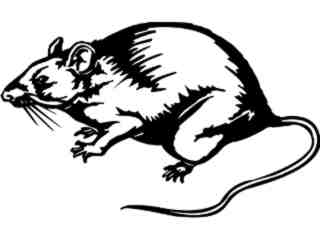  Rat_ 1 3 8_ V A 1 Decal Proportional
