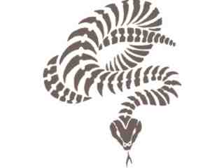  Rattlesnake Decal Proportional