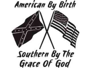  Rebel American Decal Proportional