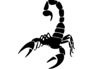  Scorpian 0 6 Decal Proportional