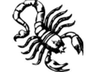  Scorpian 0 9 Decal Proportional