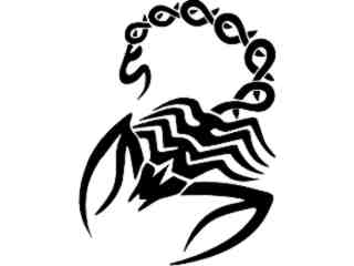  Scorpian 1 2 Decal Proportional