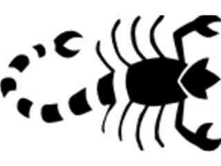  Scorpian 1 3 Decal Proportional