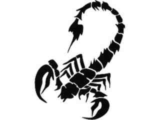  Scorpian 1 4 Decal Proportional