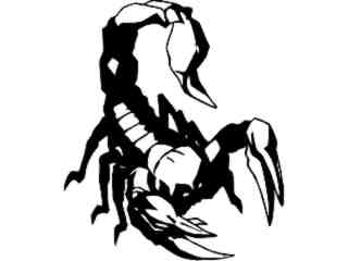  Scorpian 1 5 Decal Proportional