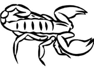  Scorpian 1 6 Decal Proportional