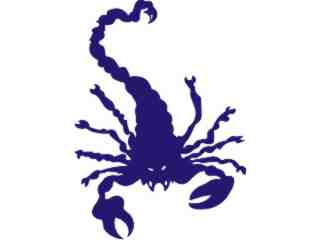  Scorpian 1 9 Decal Proportional