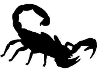  Scorpian 2 0 Decal Proportional