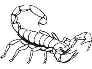  Scorpian 2 1 Decal Proportional