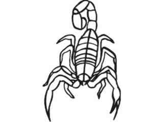  Scorpian Front_ M M 1 Decal Proportional