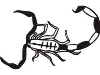  Scorpian Top_ M M 1 Decal Proportional