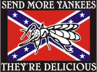  Send More Yankees Rebel_ C L 1_ I N V Decal Proportional
