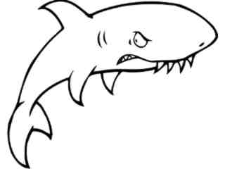  Shark 2_ M B 1 Decal Proportional