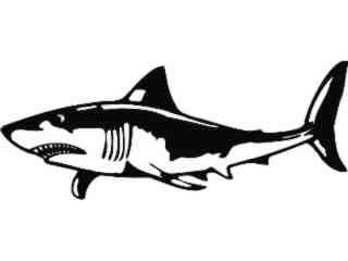  Shark Great White Decal Proportional