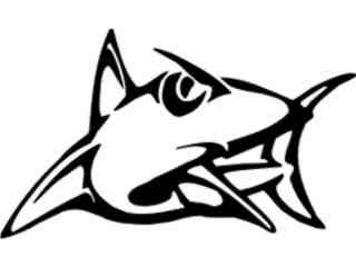  Shark Sharp Decal Proportional