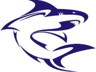  Shark Tribal Curl Decal Proportional