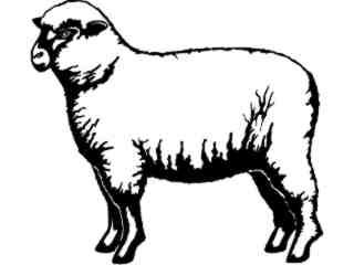  Sheep_ 1 3 8_ V A 1 Decal Proportional