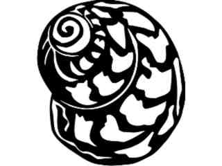  Shell Bednalls Volute_ 1 7 9_ V A 1 Decal Proportional