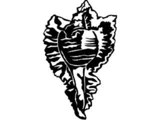  Shell Murex Peeve_ 1 7 9_ V A 1 Decal Proportional