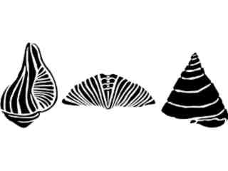  Shells_ 1 5 4_ V A 1 Decal Proportional