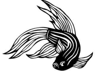  Siamese Fish_ 1 4 0_ V A 1 Decal Proportional