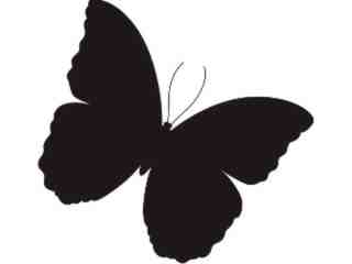  Silhouette Butterfly Decal Proportional