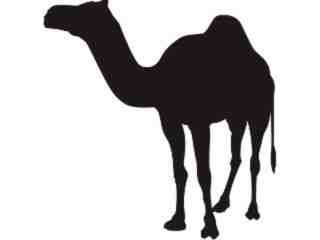 Silhouette Camel Decal Proportional