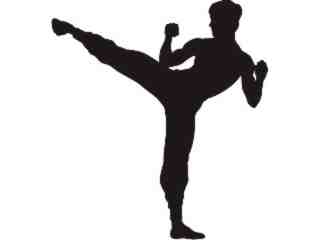  Silhouette Kung Fu Decal Proportional