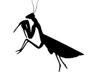  Silhouette Mantis Decal Proportional