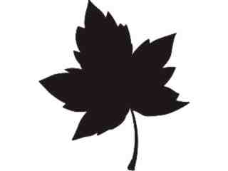  Silhouette Maple Leaf Decal Proportional