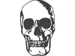  Skull 0 4 Decal Proportional