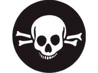  Skull 0 7 Decal Proportional