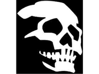  Skull 1 0_ I N V Decal Proportional