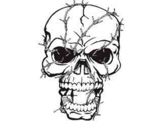  Skull Barbed Wire_ D T L Decal Proportional