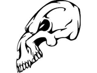  Skull Beast Animal Decal Proportional