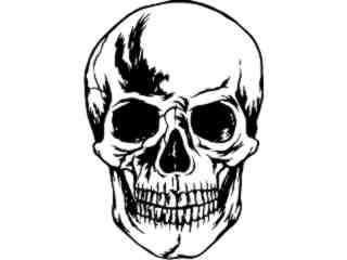  Skull Clean_ D T L Decal Proportional