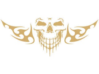 Skull Cool Frontal Flame Decal Proportional