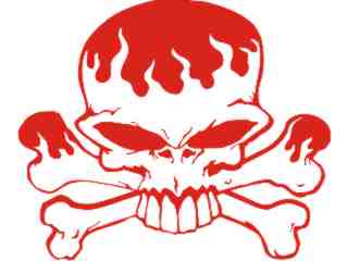  Skull Flames Front Decal Proportional