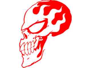  Skull Flames Side Decal Proportional