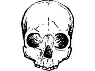  Skull Missing Jaw Decal Proportional