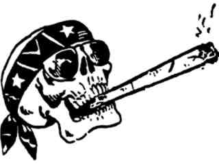  Skull Smoker Decal Proportional