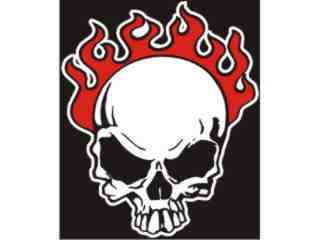  Skullflames Top_ C L 1_ I N V Decal Proportional