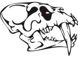  Skulls Bones_ 0 1 1 Decal Proportional