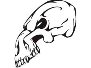  Skulls Bones_ 0 1 7 Decal Proportional
