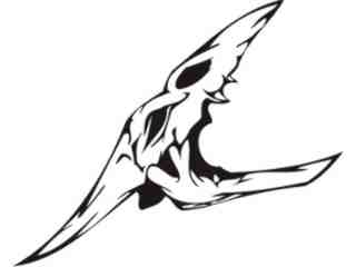  Skulls Bones_ 0 2 4 Decal Proportional